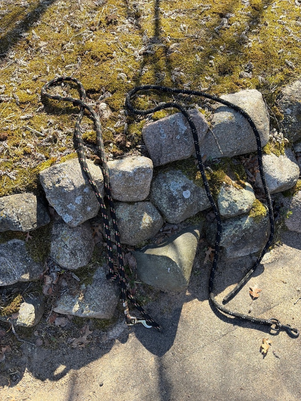 Two used standard horse lead rope